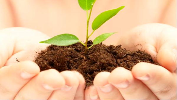 BEOL貝爾科技液氮罐廠家~為你解說如何冷凍胚胎創造“生命”—10.20