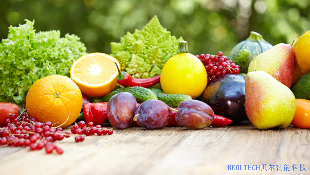 BEOL貝爾科技溫濕度監控設備教你冷鏈運輸小技巧22.1.26